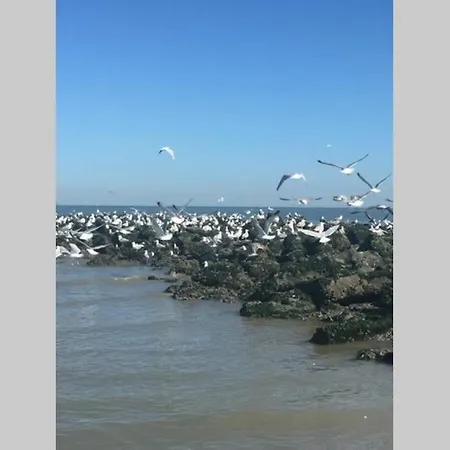 Residentie Astrid Met Private Parking Apartamento *